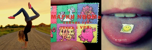 гашик Карталы