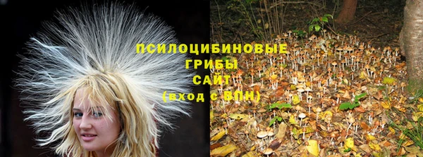 соль курить ск Карпинск