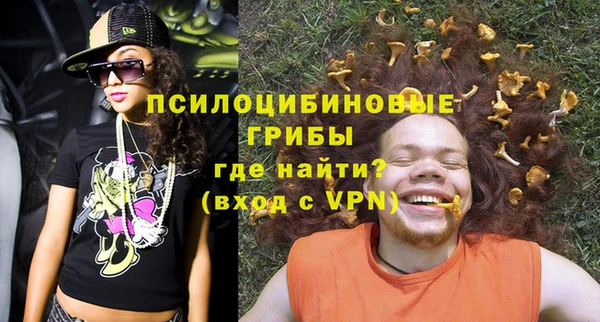 гашик Карталы
