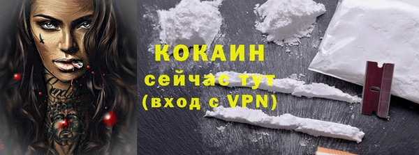 гашик Карталы