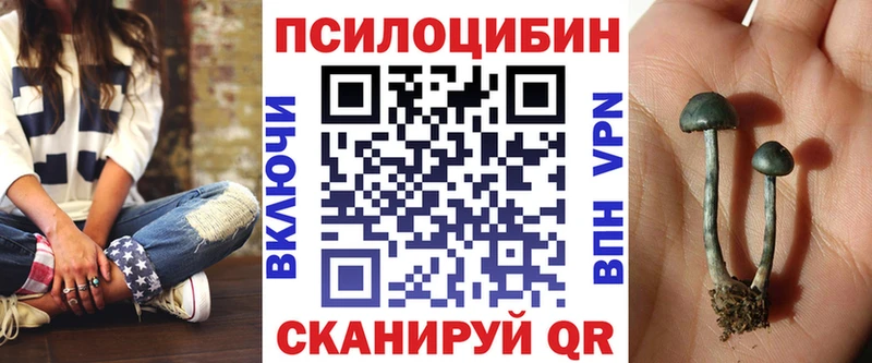 Псилоцибиновые грибы Cubensis  Купить закладки  Пошехонье 